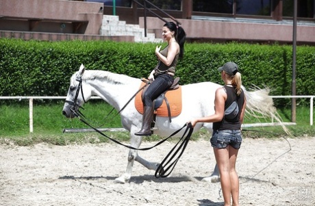 Порнозвезда Алетта Оушен катается на лошади на открытом воздухе в очках картинка 11