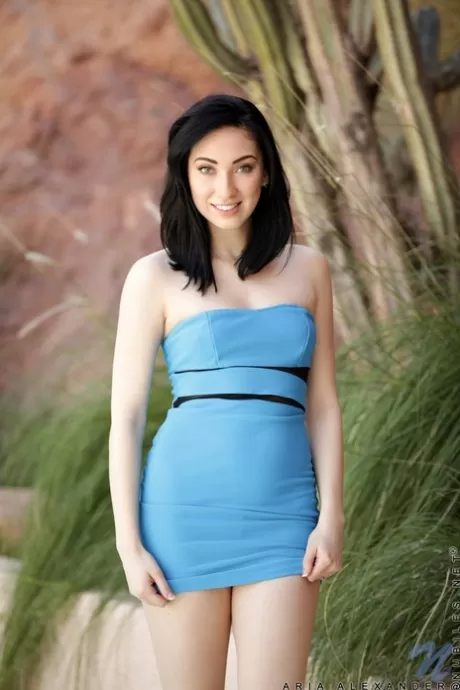 Сексуальная Ария Александер показывает свои маленькие сиськи, когда раздевается догола на открытом воздухе картинка 2