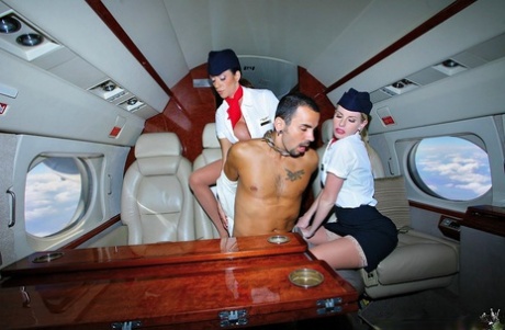 Сексуальные стюардессы в чулках трахают пассажира первого класса картинка 6