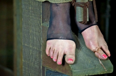 Грудастую рабыню повесили на кресте и пытали зажимом для языка и другими жесткими приспособлениями картинка 5