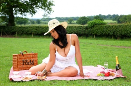 Горячая леди средних лет Даника Коллинз мастурбирует во время пикника на одеяле картинка 3