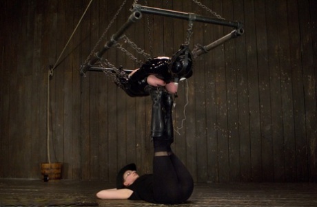 Ди Уильямс мастурбирует лесбиянка с садистскими наклонностями в бондаже картинка 4