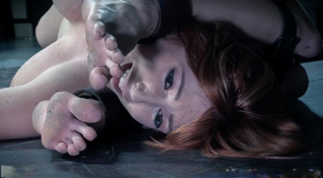 Сдержанные рабыни, вынужденные ублажать друг друга извращенными секс-игрушками картинка 3