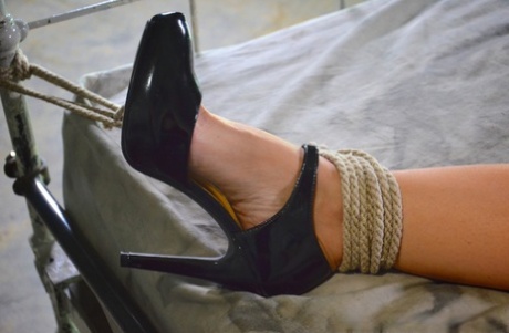 Связанную самку Сирен де Мер трахают в рот белые и черные члены картинка 8