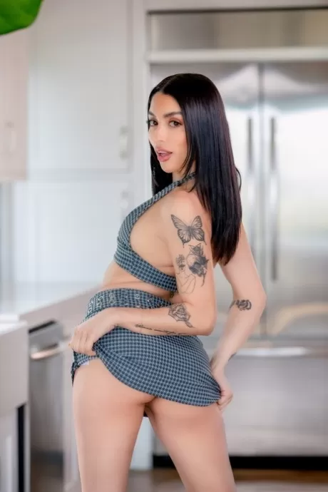 Латиноамериканская фотомодель Ванесса Скай трахается с сантехником на своей кухне картинка 2